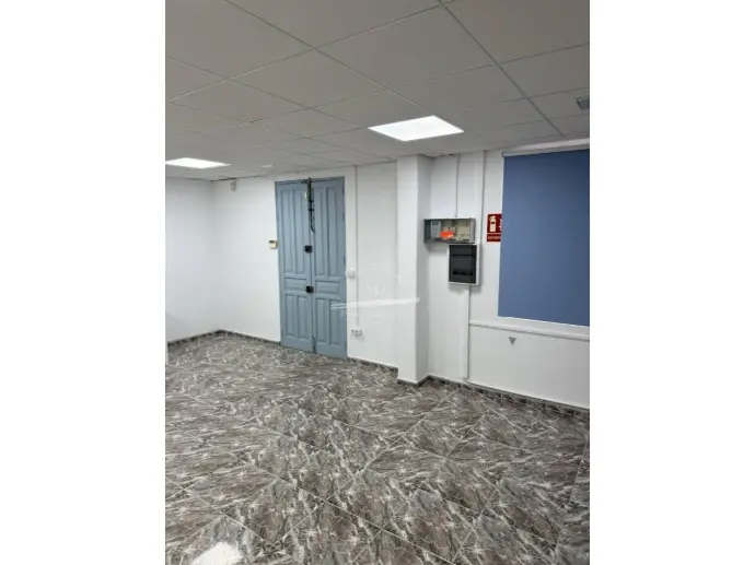 Tienda - Local comercial en Alquiler